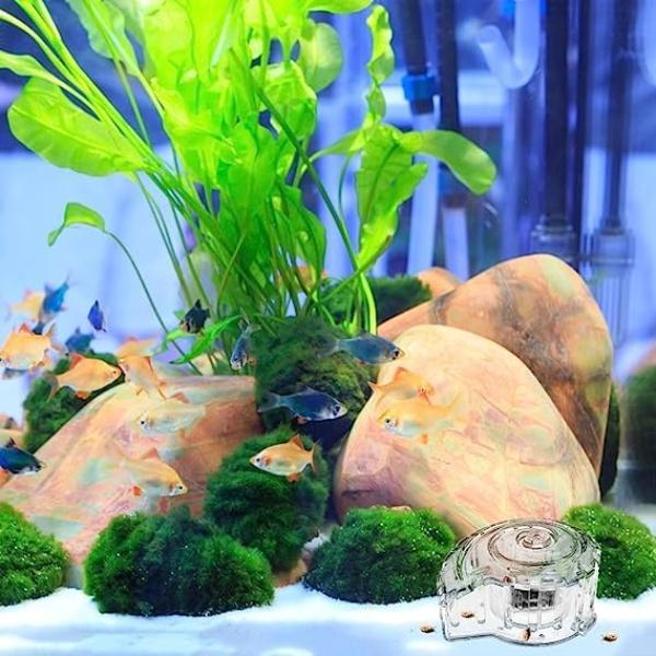 Dophin Snail Catcher Safe for Shrimp and Fish