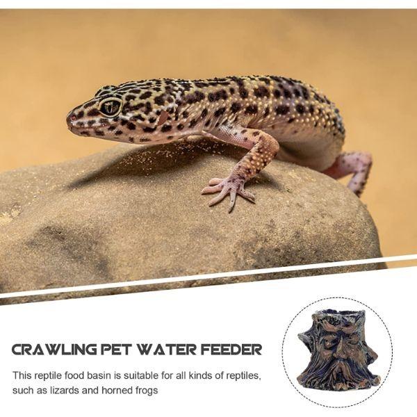Reptile Food Water Bowl Imitating Natural Rock Resin Tortoise Food Containers