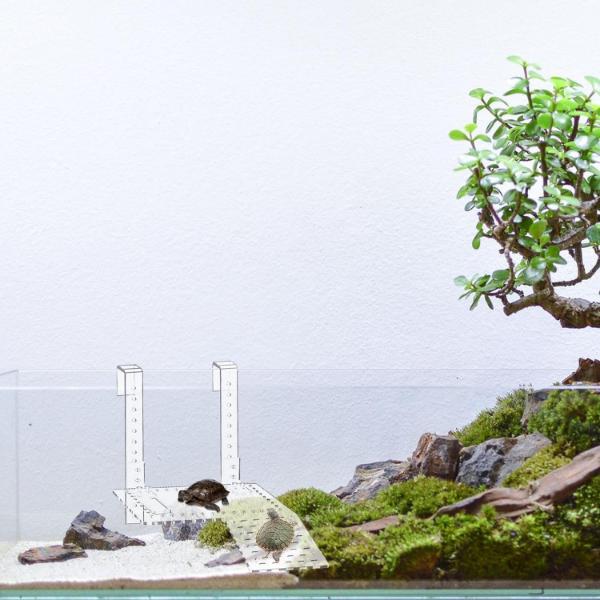 Acrylic Hanging Turtle Ladder (Medium & Large)