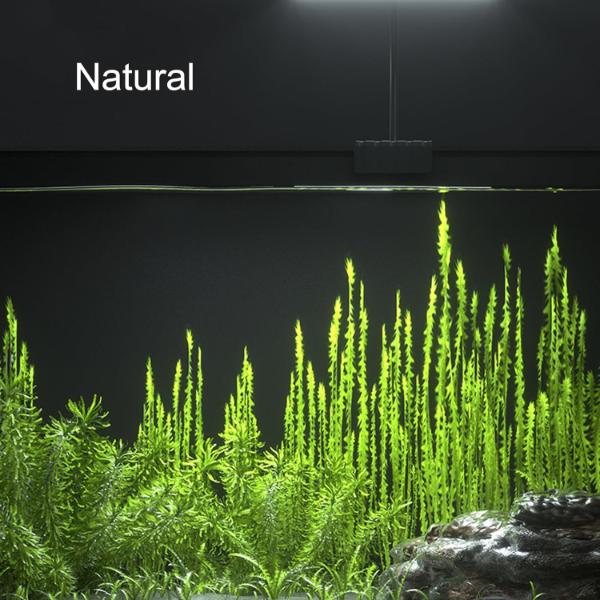 Aquarium Clip On 12W LED Full Spectrum Planted Light