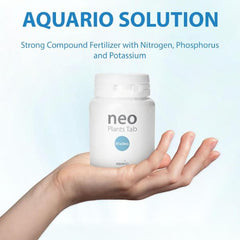 Aquario Neo Root Tab- ST.LONG