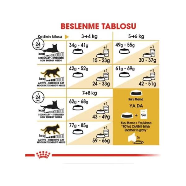 Royal Canin B&K Feline Breed Nutrition Persian Adult 4Kg Cat Dry Food