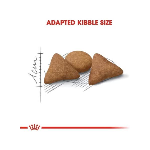 Royal Canin B&K Feline Breed Nutrition Persian Adult 4Kg Cat Dry Food