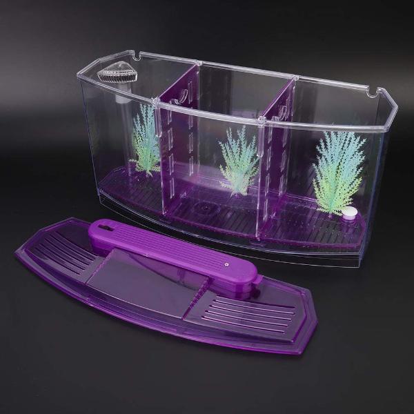 Isolation Acrylic Small Aquarium with 2 Color Lighting