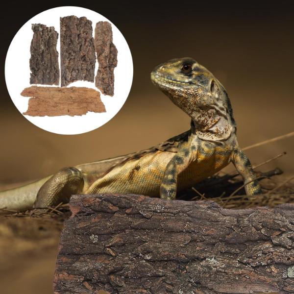 B&K Reptile Bark Gecko Backdrop Wooden Driftwood