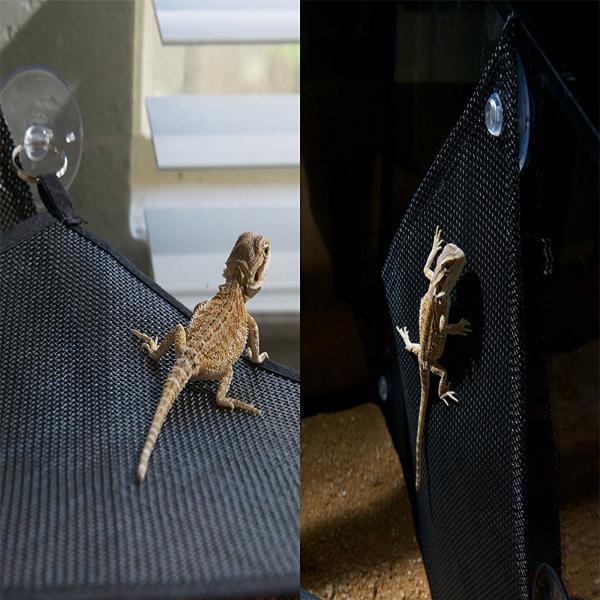 Reptile Hammock Lounger Resting Hanging Mesh Net & Ladder Accessories Set for Bearded Dragons Anole Geckos Lizards (Triangle, 48 x 38 x 38 CM, 2 Pack)