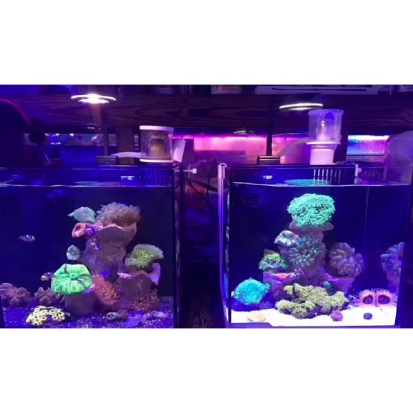 LED Aquarium Light 360 Degree Nano Fish Tank Light with Bamboo Board