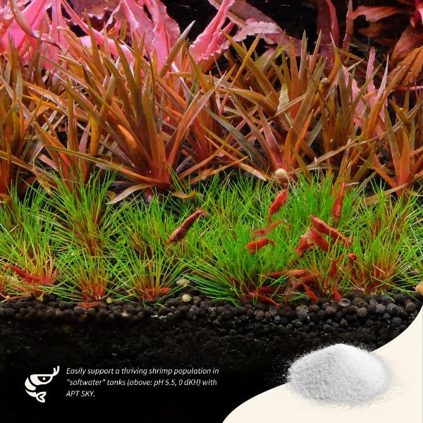 2Hr Aquarist APT SKY 70gms