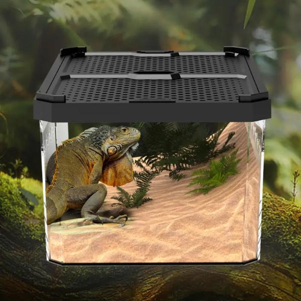 Nomoypet Magnetic Middle Sliding LID Feeding Box