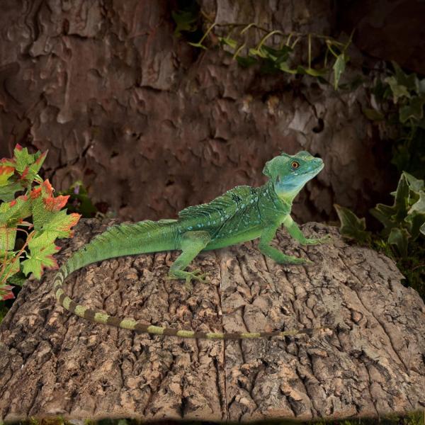 Terrarium Cork Bark Background Board, Reptile Tank Tree Decor
