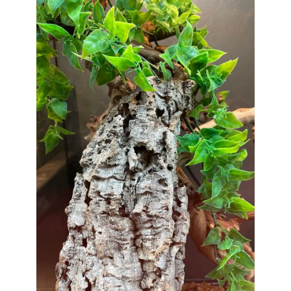 Natural Cork Bark Round for Reptile Terrarium Vivarium
