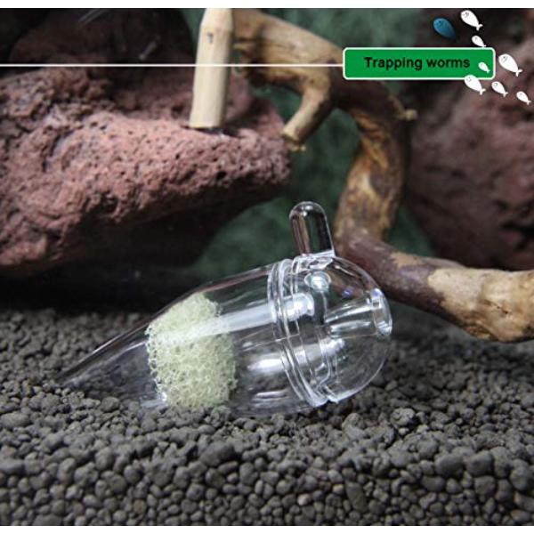 Planaria Trap Worm Catcher