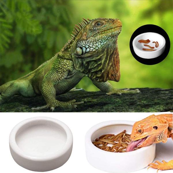 Smooth Ceramic Anti-Escape Worm Dish for Reptile Lizard Feeding Food Water Bowl