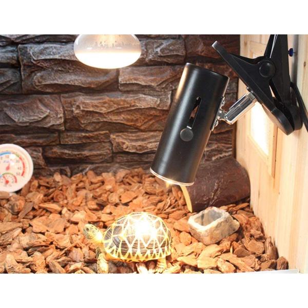 Lamp Holder Stand Lights Bulbs Heat for Reptiles Tanks, Turtle Adjustable and Rotates Black and White