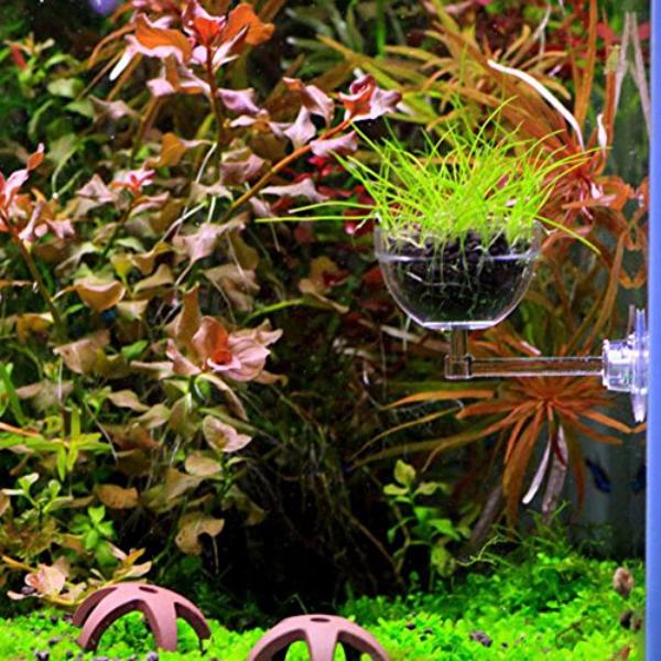 Aquatic Plant Pot Crystal Bowl Holder with Suction Cup for Aquarium Fish Tank Home Decorations