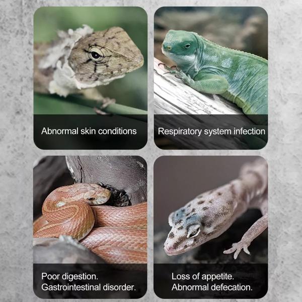 Nomoypet Intelligent Thermo-Hygrometer Control Temperature and Humidity for Reptiles