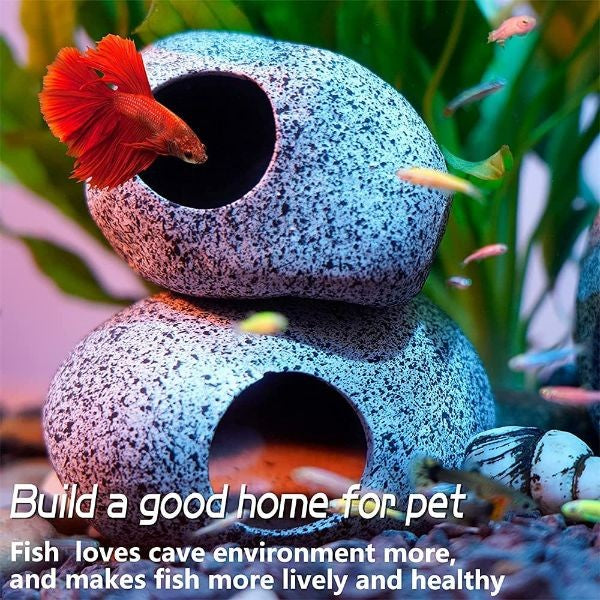 Shrimp Cichlid Betta Natural Breeding Hiding Cave Stones