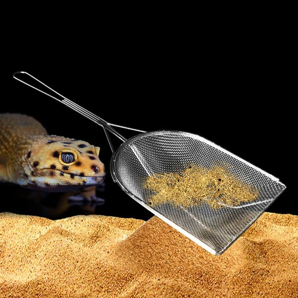 Nomoy Stainless Steel Square Reptile Sand Shovel
