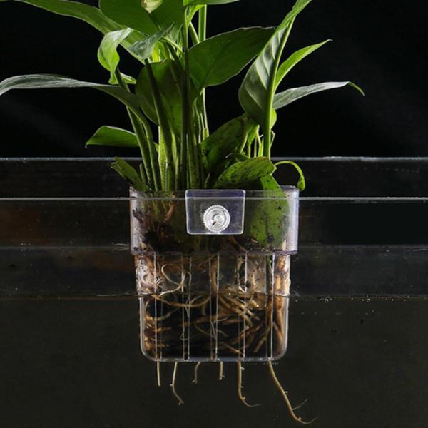 Hanging Aquatic Plant Holder 8x8x5.7cm