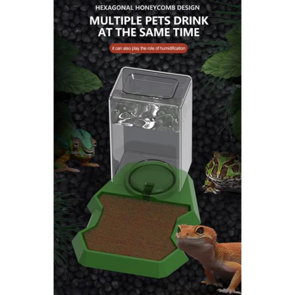 Nomoypet Anti-Drowning Water Feeder Reptile Terrarium Tank
