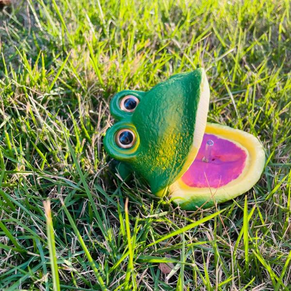 Air Bubbler Frog Aquarium Natural Ornament Decoration