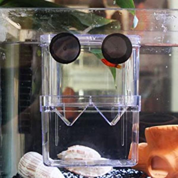 Aquarium Fish Breeder Box Multifunctional Isolating 13x7x10cm