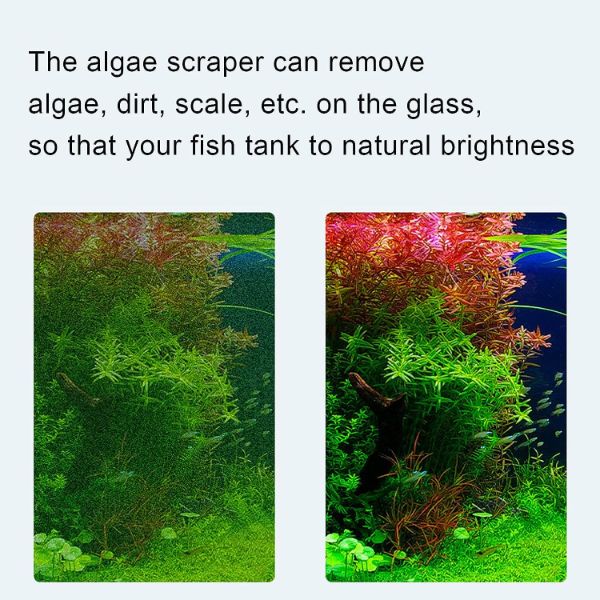 Aquarium Cleaning Algae Scrapper Blade 33cm and 73cm
