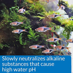 API PH Down 118ml Aquarium PH Adjuster, 4-OZ