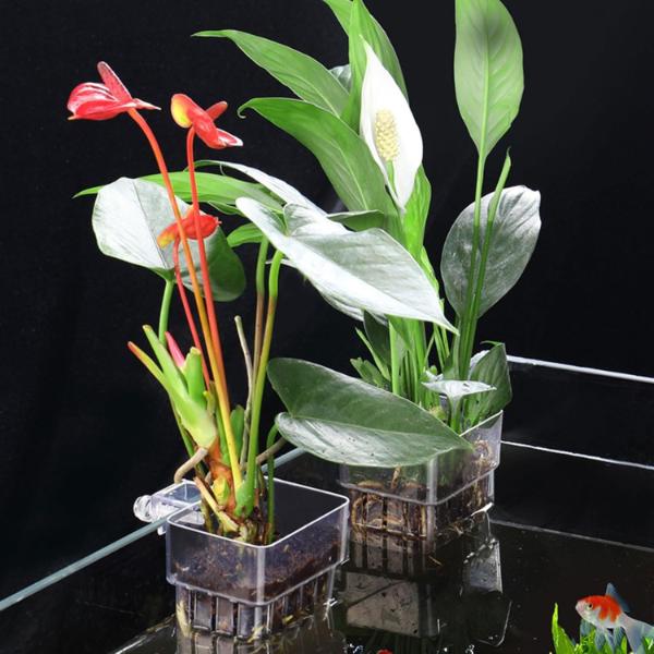 Hanging Aquatic Plant Holder 8x8x5.7cm