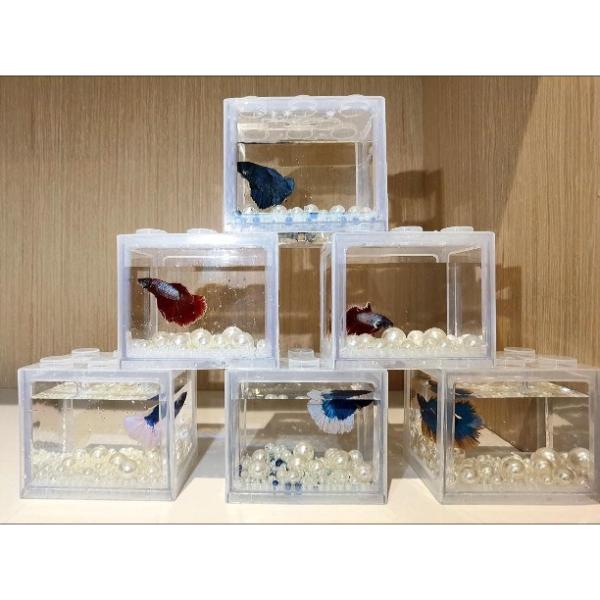 Small Betta Fish Tank  (Size) 12 x 8 x 10cm