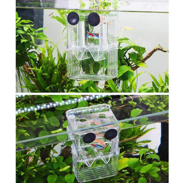Aquarium Fish Breeder Box Multifunctional Isolating 13x7x10cm