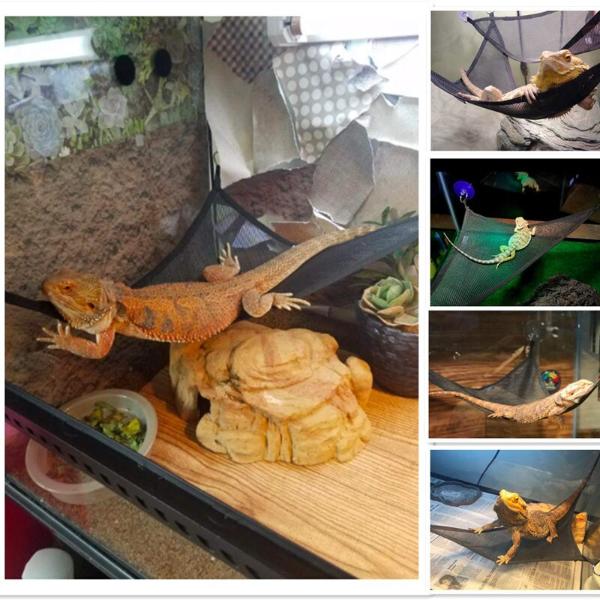 Reptile Hammock Lounger Resting Hanging Mesh Net & Ladder Accessories Set for Bearded Dragons Anole Geckos Lizards (Triangle, 48 x 38 x 38 CM, 2 Pack)