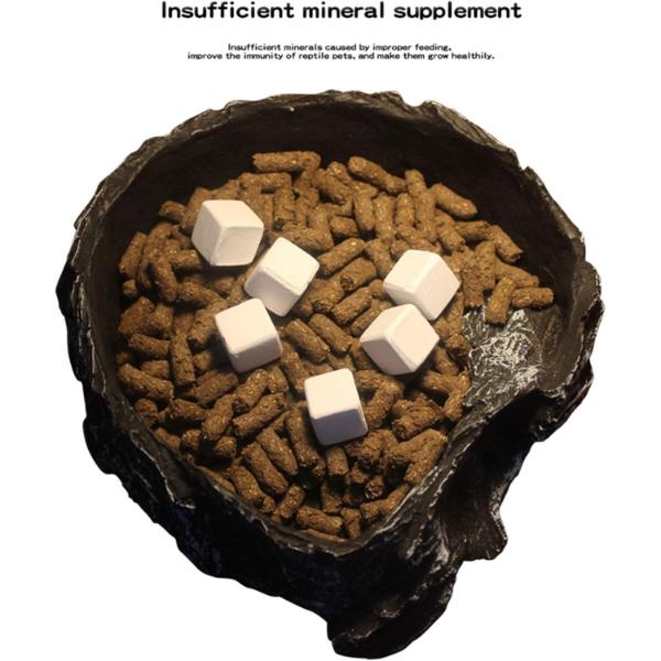 Nomoy Biological Mineral Block