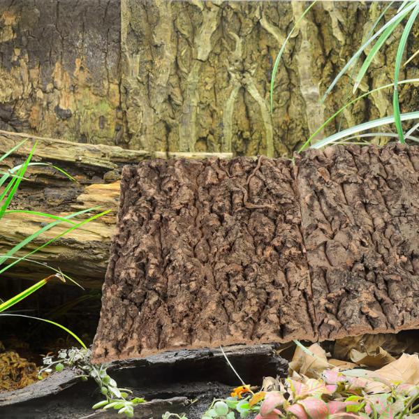 Terrarium Cork Bark Background Board, Reptile Tank Tree Decor