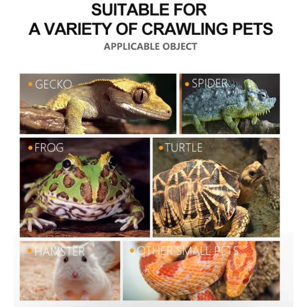 Reptile Feeding and Watering Bowl Single Double (3 Sizes)