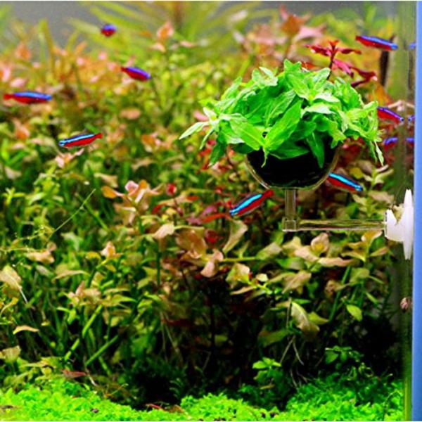 Aquatic Plant Pot Crystal Bowl Holder with Suction Cup for Aquarium Fish Tank Home Decorations