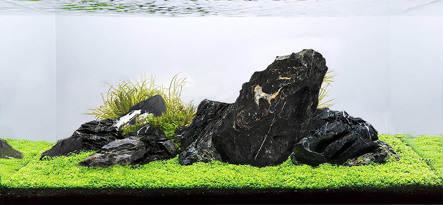 Seiryu Aqua Scaping Stone 1kg