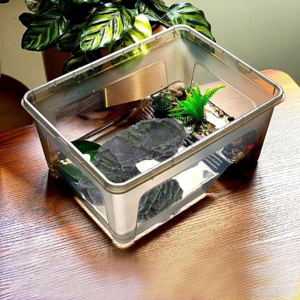Turtle Stand with Hide Basking Platform