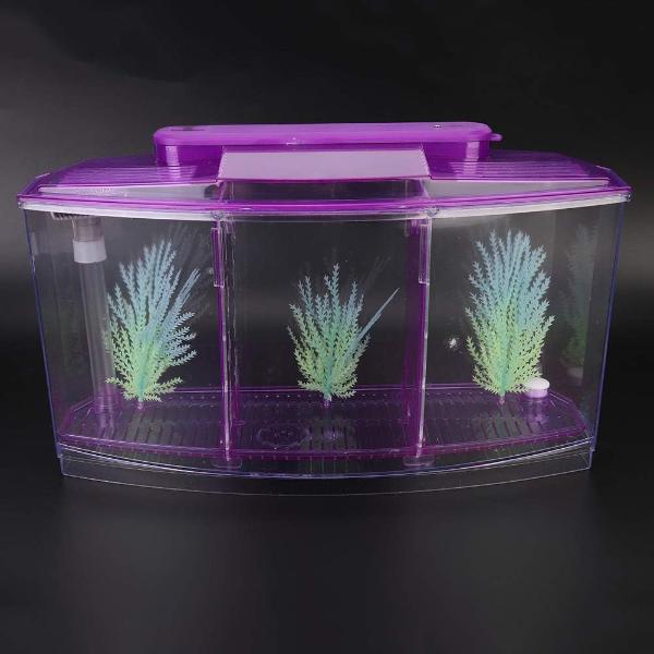 Isolation Acrylic Small Aquarium with 2 Color Lighting
