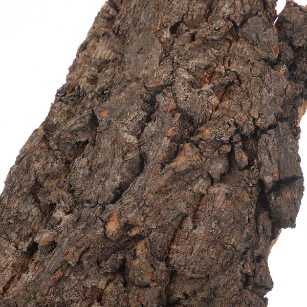 B&K Reptile Bark Gecko Backdrop Wooden Driftwood