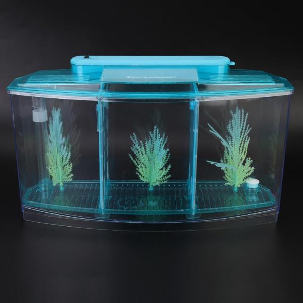 Isolation Acrylic Small Aquarium with 2 Color Lighting