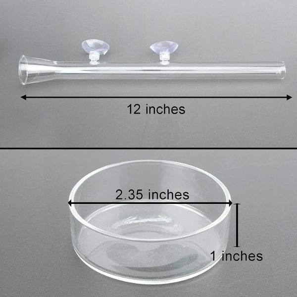 Shrimp Feeding Tube and Dish Clear Glass Feeder