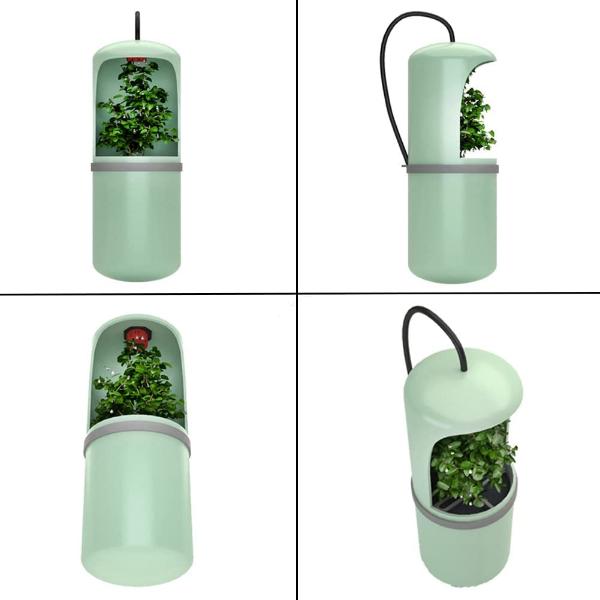 Reptile Drinking Fountain Automatic Water Dispenser Water Circulation