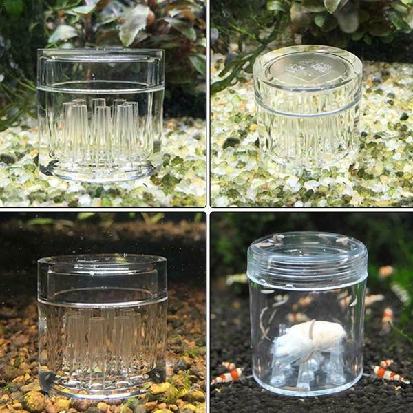 Plastic Trapper For Planarian Worm 8 Holes