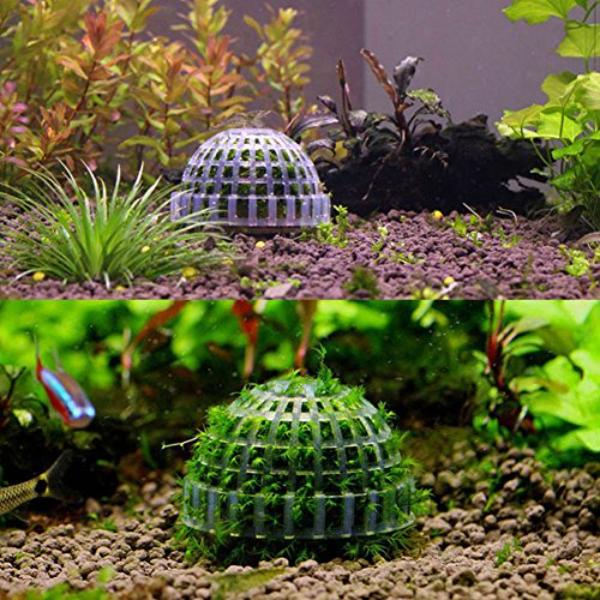Natural Aquatic Bio Moss Ball