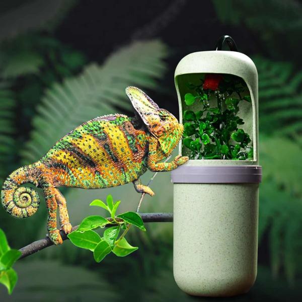Reptile Drinking Fountain Automatic Water Dispenser Water Circulation