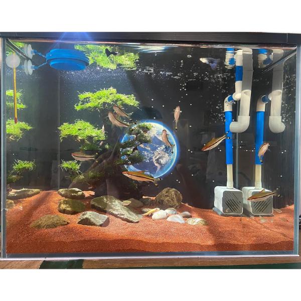 Premium Aquarium Sand Red 1 KG