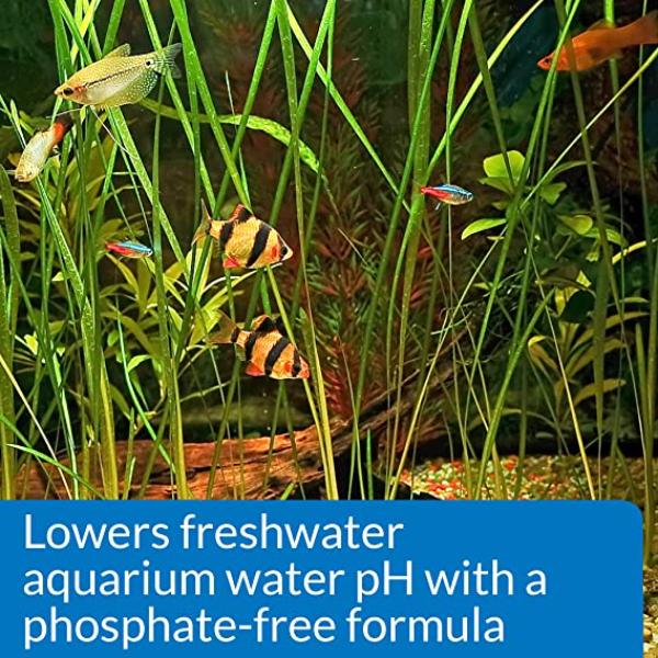 API PH Down 118ml Aquarium PH Adjuster, 4-OZ