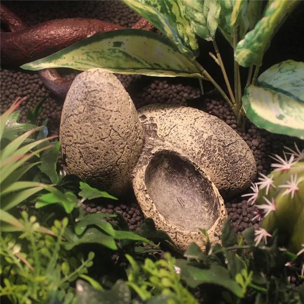 Exo Terra Dinosaur Eggs Hideout