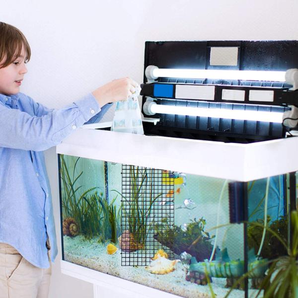 Fish Tank Divider Plastic Grid (2 Sizes)